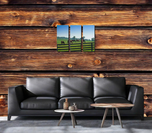 3 Panel Canvas Print